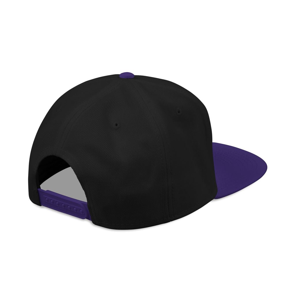 Embroidered Snapback Hat — Distressed Anchor Logo Cap
